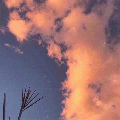 蓝月雷霆手机版下载